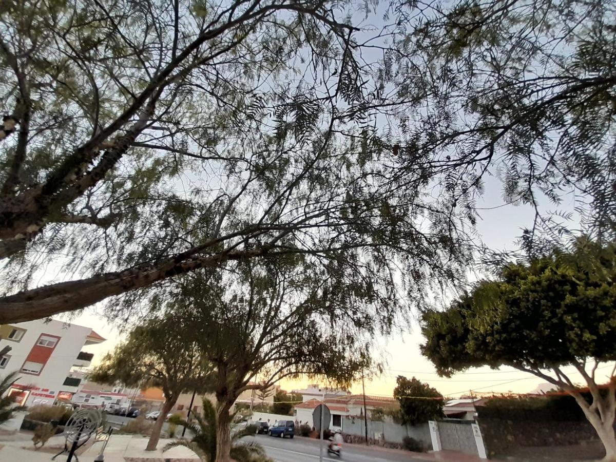 Tenerife Homestay San Miguel de Abona Zewnętrze zdjęcie
