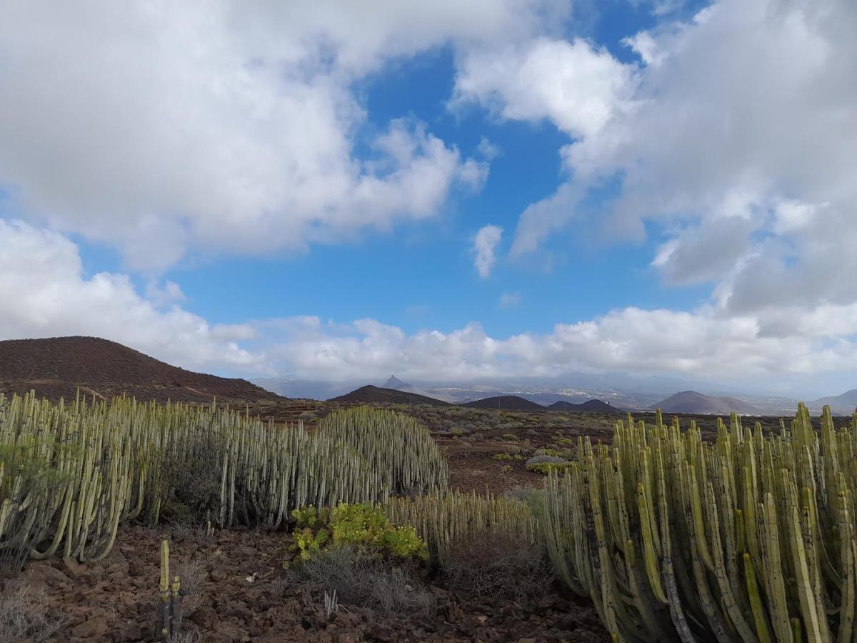 Tenerife Homestay San Miguel de Abona Zewnętrze zdjęcie