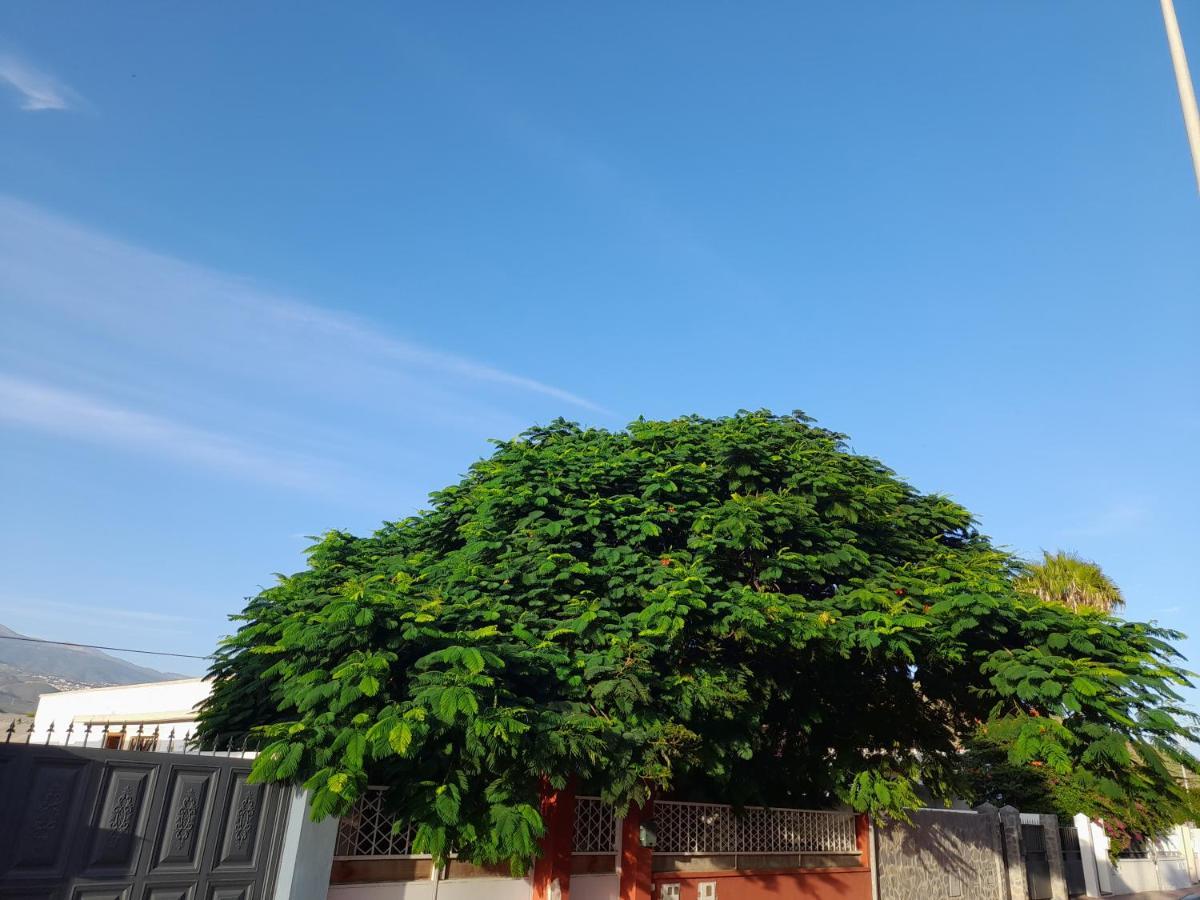 Tenerife Homestay San Miguel de Abona Zewnętrze zdjęcie
