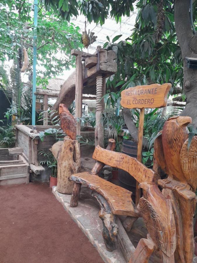Tenerife Homestay San Miguel de Abona Zewnętrze zdjęcie