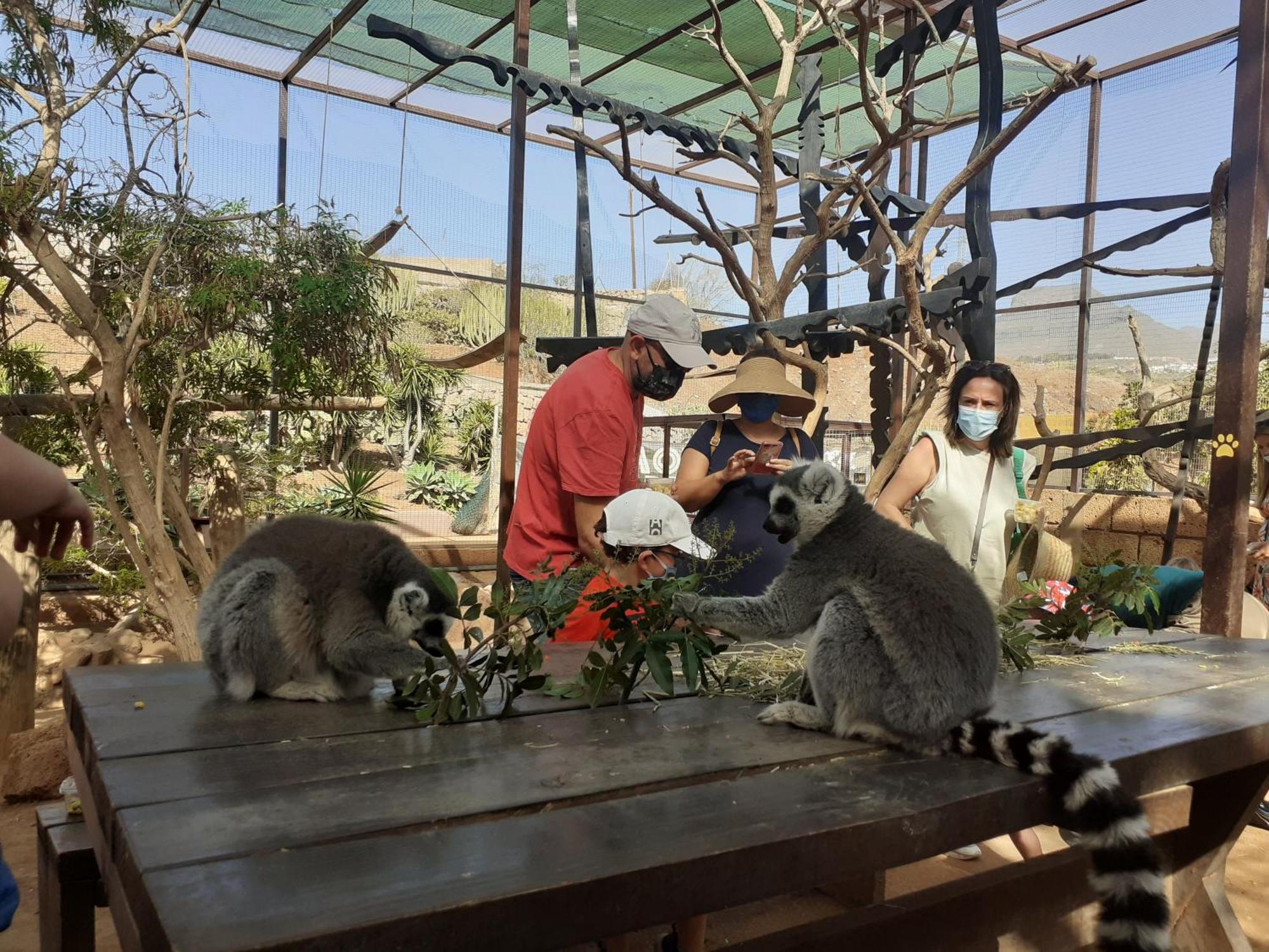 Tenerife Homestay San Miguel de Abona Pokój zdjęcie
